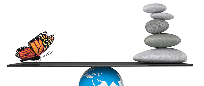 Creating Balance &amp; Harmony