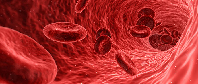 World Blood Donor Day