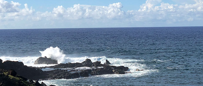 World Oceans Day