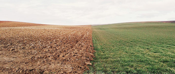 World Soil Day - Farmland